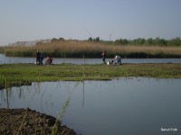 /album/faluszepito-zold-nap-tisza-tavi-polgarmesterek-horgaszversenye/p4190158-jpg/