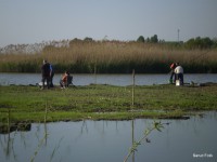 /album/faluszepito-zold-nap-tisza-tavi-polgarmesterek-horgaszversenye/p4190159-jpg/