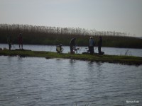 /album/faluszepito-zold-nap-tisza-tavi-polgarmesterek-horgaszversenye/p4190161-jpg/