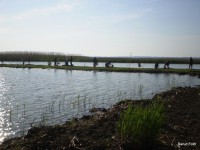 /album/faluszepito-zold-nap-tisza-tavi-polgarmesterek-horgaszversenye/p4190162-jpg/