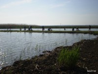 /album/faluszepito-zold-nap-tisza-tavi-polgarmesterek-horgaszversenye/p4190163-jpg/