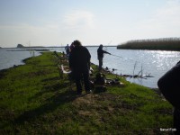 /album/faluszepito-zold-nap-tisza-tavi-polgarmesterek-horgaszversenye/p4190173-jpg/