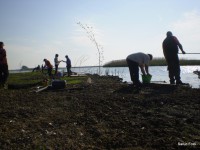 /album/faluszepito-zold-nap-tisza-tavi-polgarmesterek-horgaszversenye/p4190175-jpg/