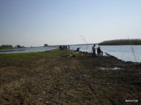 /album/faluszepito-zold-nap-tisza-tavi-polgarmesterek-horgaszversenye/p4190179-jpg/