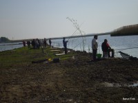 /album/faluszepito-zold-nap-tisza-tavi-polgarmesterek-horgaszversenye/p4190181-jpg/