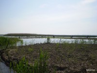 /album/faluszepito-zold-nap-tisza-tavi-polgarmesterek-horgaszversenye/p4190197-jpg/
