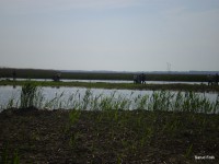 /album/faluszepito-zold-nap-tisza-tavi-polgarmesterek-horgaszversenye/p4190199-jpg/