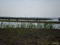 /album/faluszepito-zold-nap-tisza-tavi-polgarmesterek-horgaszversenye/p4190200-jpg/