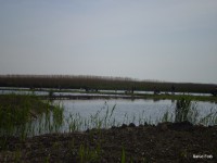 /album/faluszepito-zold-nap-tisza-tavi-polgarmesterek-horgaszversenye/p4190201-jpg/