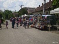 /album/faluszepito-zold-nap-programok-a-kozossegi-haz-udvaran/p4190239-jpg/