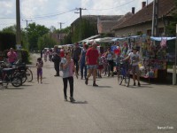 /album/faluszepito-zold-nap-programok-a-kozossegi-haz-udvaran/p4190240-jpg/