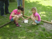 /album/faluszepito-zold-nap-programok-a-kozossegi-haz-udvaran/p4190248-jpg/